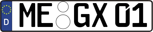 ME-GX01