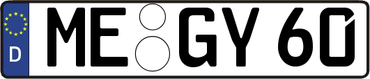 ME-GY60