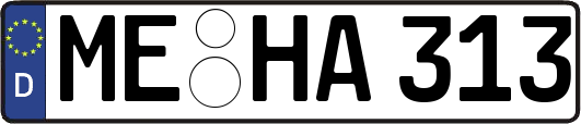 ME-HA313