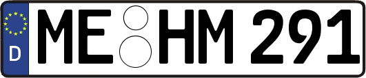 ME-HM291