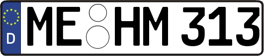 ME-HM313