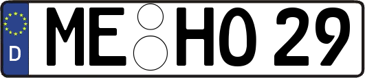 ME-HO29