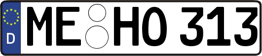 ME-HO313