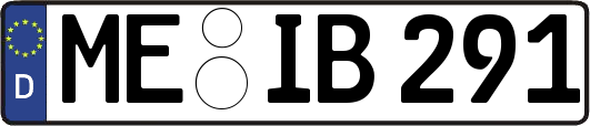 ME-IB291