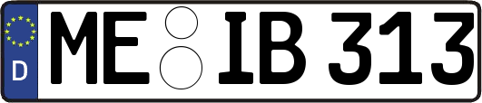 ME-IB313