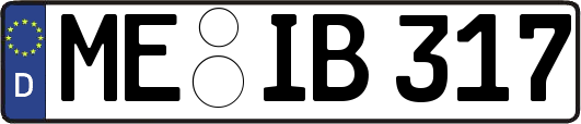 ME-IB317
