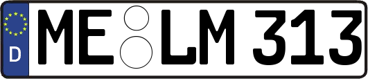 ME-LM313