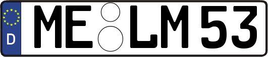 ME-LM53