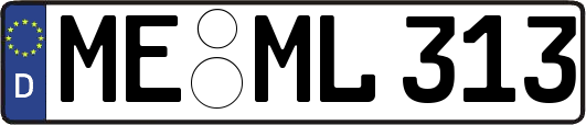 ME-ML313