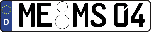 ME-MS04