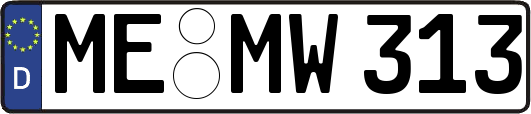 ME-MW313