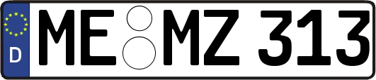 ME-MZ313