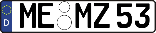 ME-MZ53