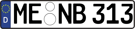 ME-NB313