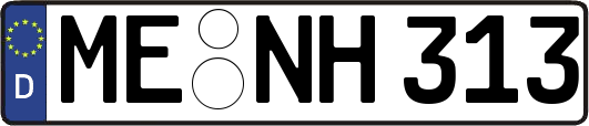 ME-NH313