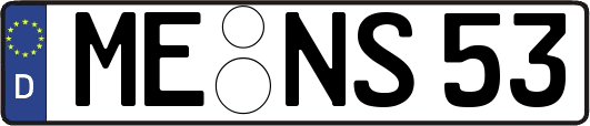 ME-NS53