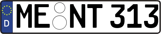 ME-NT313