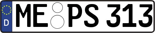 ME-PS313