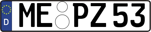 ME-PZ53