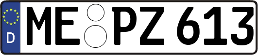 ME-PZ613
