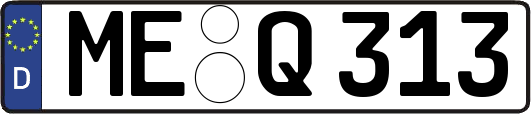 ME-Q313