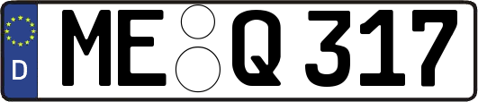 ME-Q317