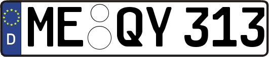 ME-QY313