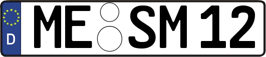 ME-SM12