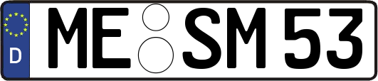 ME-SM53