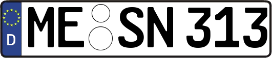ME-SN313