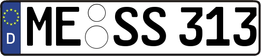 ME-SS313