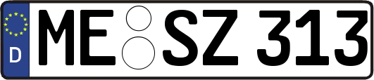 ME-SZ313