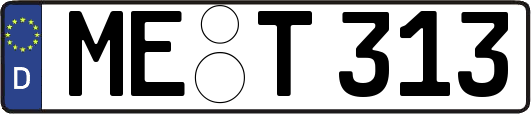 ME-T313