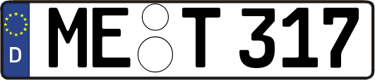 ME-T317