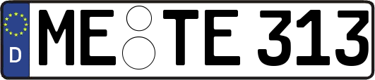 ME-TE313