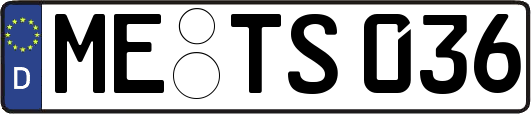 ME-TS036