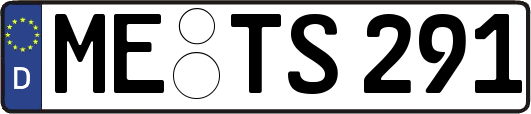ME-TS291