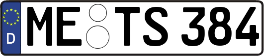 ME-TS384