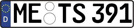 ME-TS391