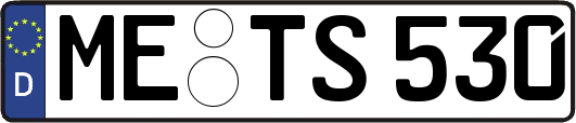 ME-TS530