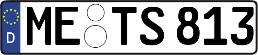 ME-TS813