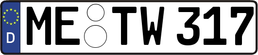 ME-TW317