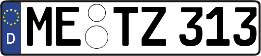 ME-TZ313