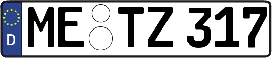 ME-TZ317