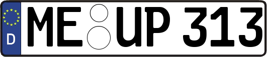 ME-UP313