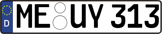 ME-UY313