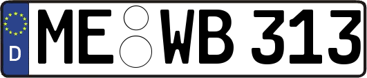 ME-WB313