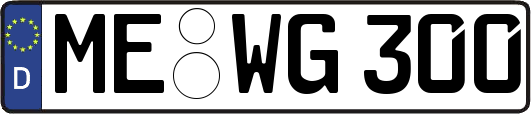 ME-WG300