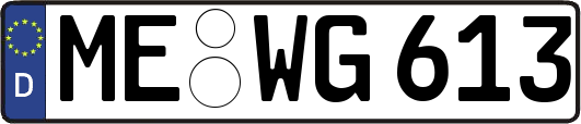 ME-WG613