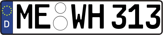 ME-WH313